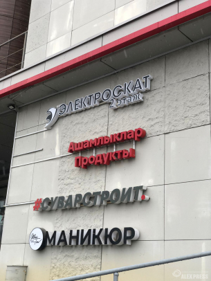 Вывеска ЭЛЕКТРОСКАТ с логотипом